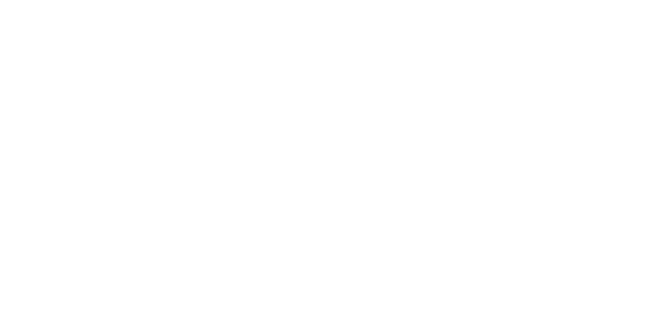 The Swingers Community